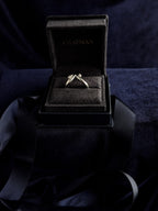 Shaun Leane Maybell 18ct white gold diamond pave ring, London hallmarked, boxed with receipt